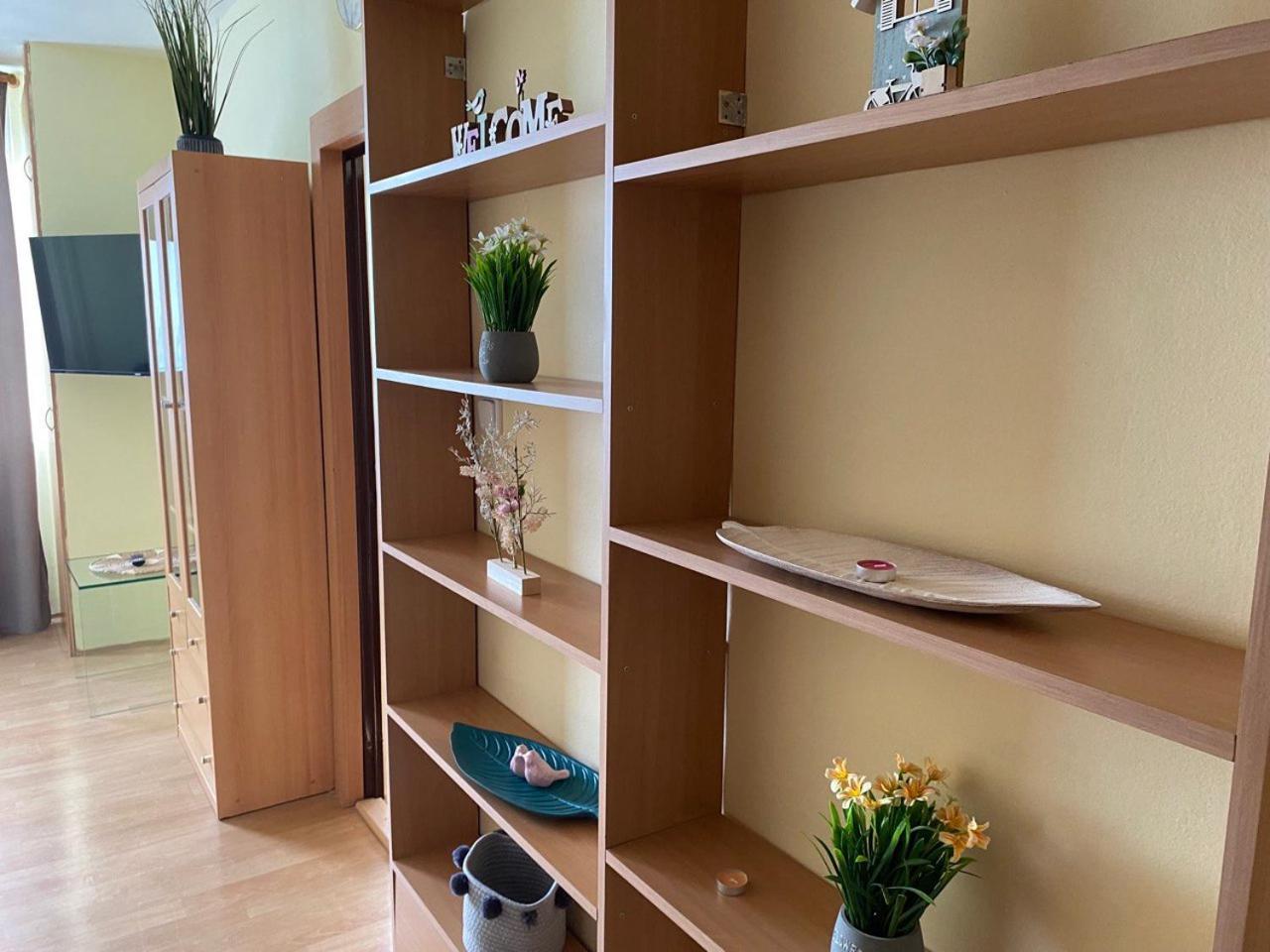Apartmany 2Kk U Fakultni Nemocnice Volne Parkovani Hradec Králové 外观 照片